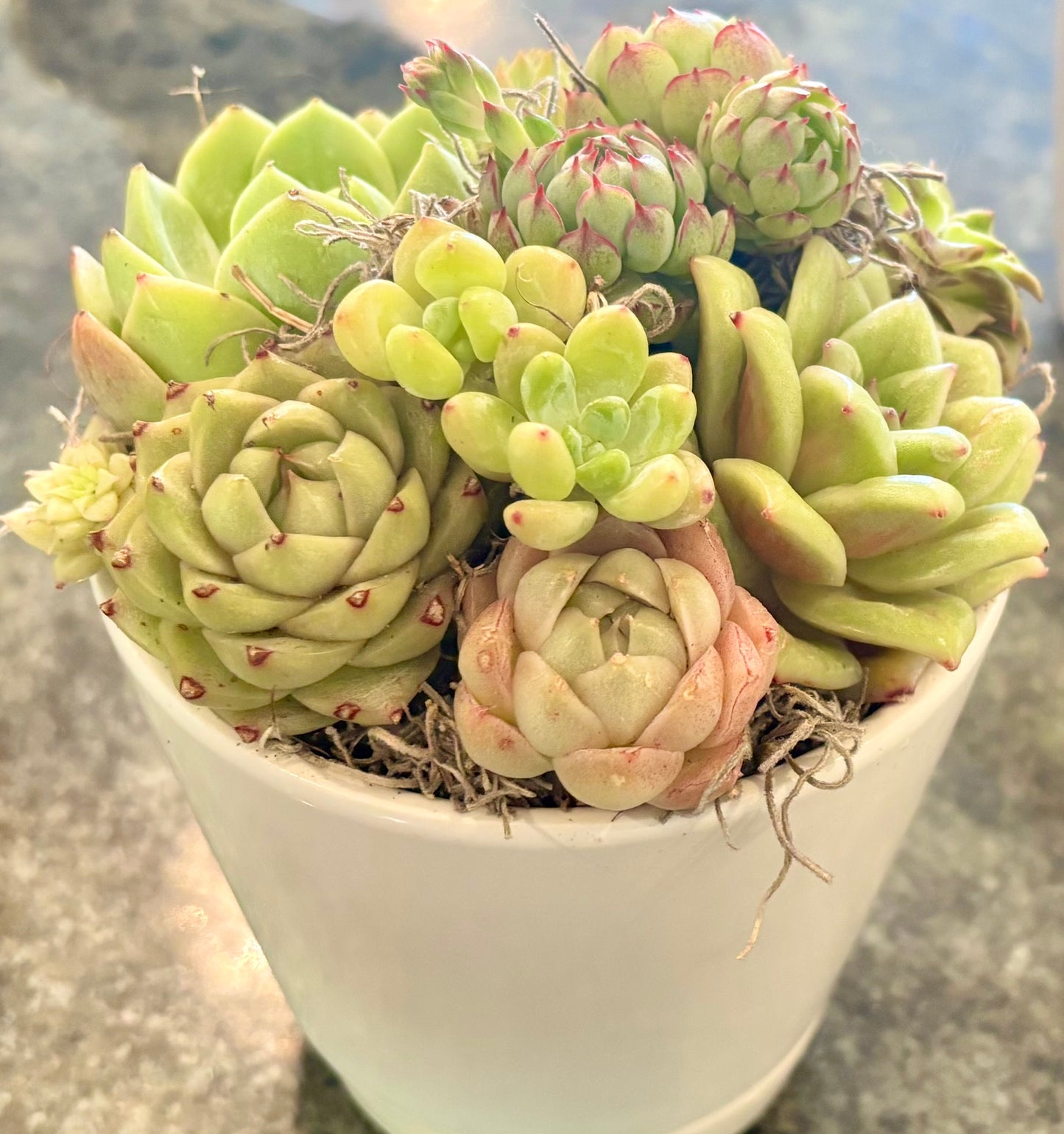Brighten My Day – from The Select
