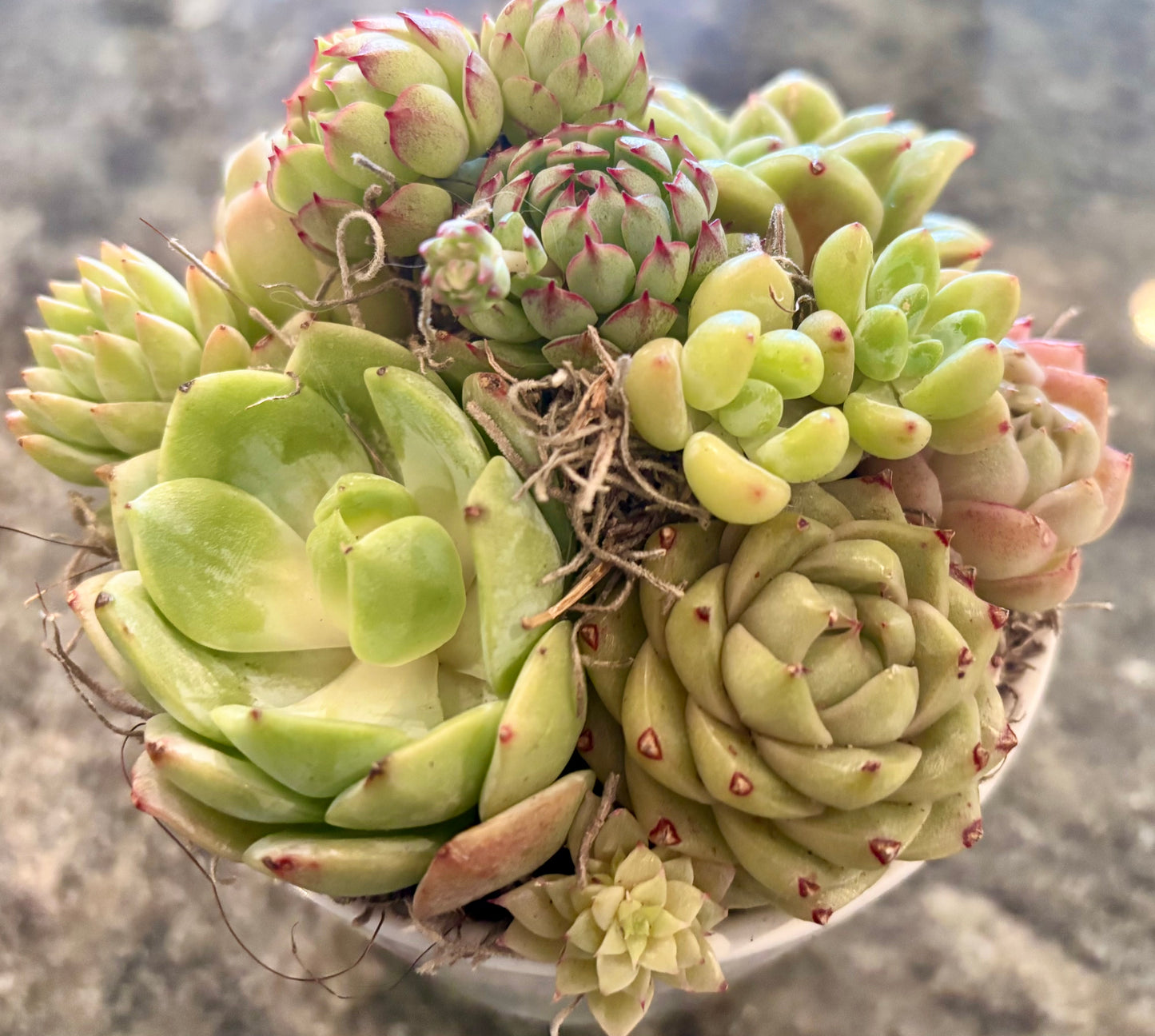 Brighten My Day – from The Select