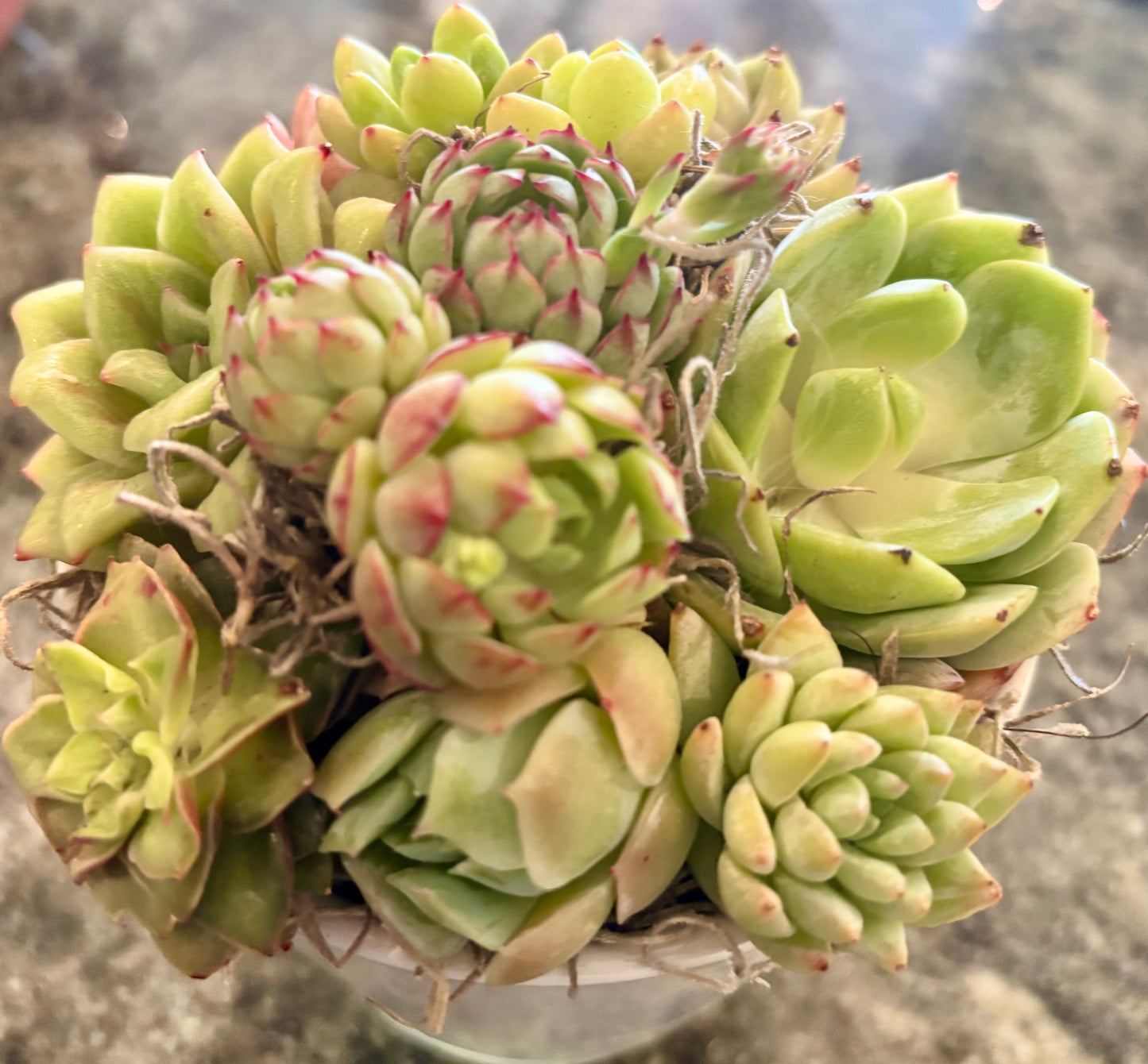 Brighten My Day – from The Select