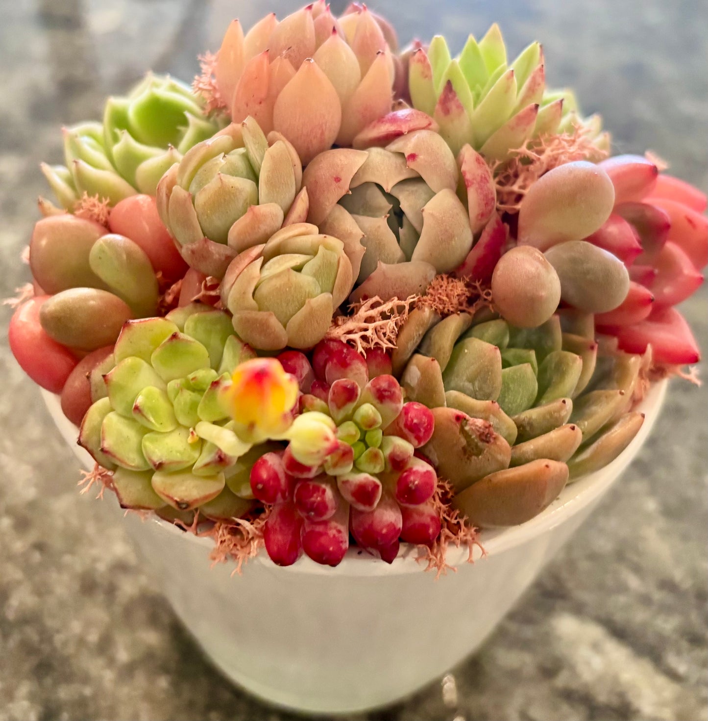 Brighten My Day – from The Select